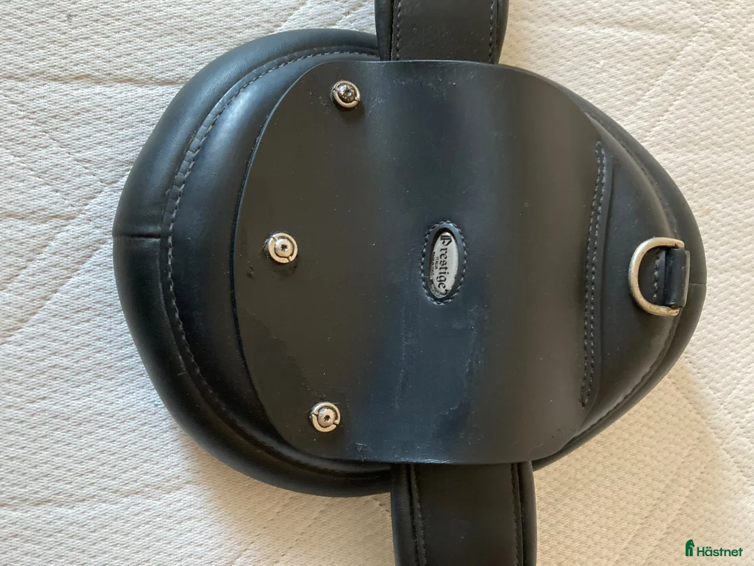 Sadeltillbehör hästutrustning till salu: Prestige RP dressyrgjord - Annons 2