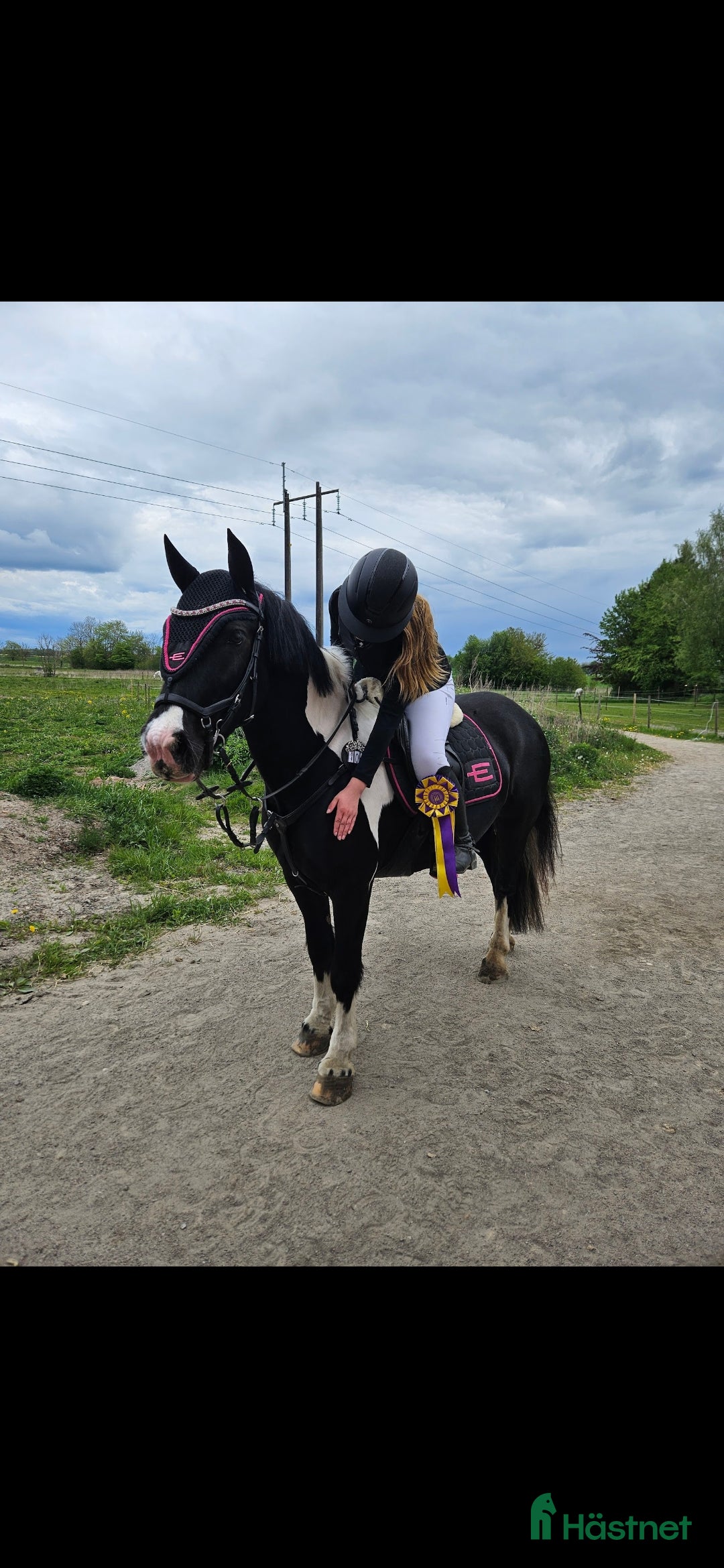 Allround hästar till salu: Fantastisk c-ponny  i Ljungskile - Annons 2