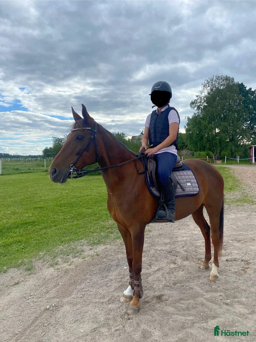 Hoppning hästar till salu: Hoppglad ponny i Vadstena - Annons 1