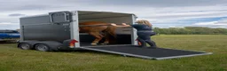 Hästtransporter  fordon & transport till salu: Ny - HB403 - Annons 2