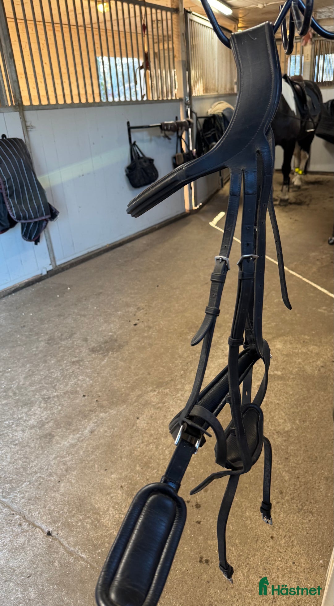 Träns hästutrustning till salu: Dyon difference träns i Lyckeby - Annons 4