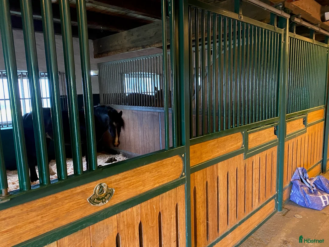 Stallinredning, stängsel & gård övrig utrustning till salu: Röwer & Rüb stallinredning i Ängelholm - Annons 2