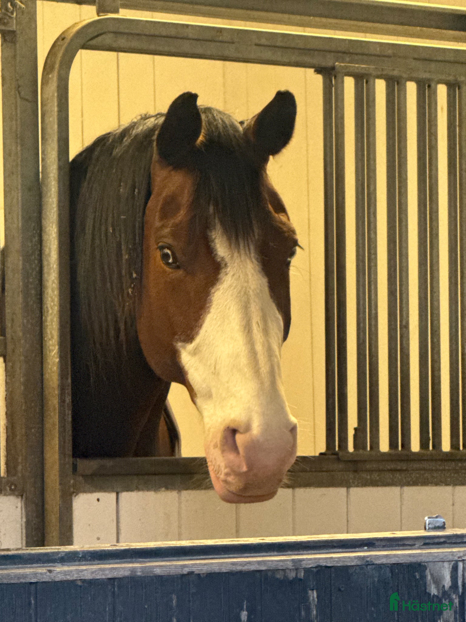  stallplats Central anläggning med ridhus - Annons 3