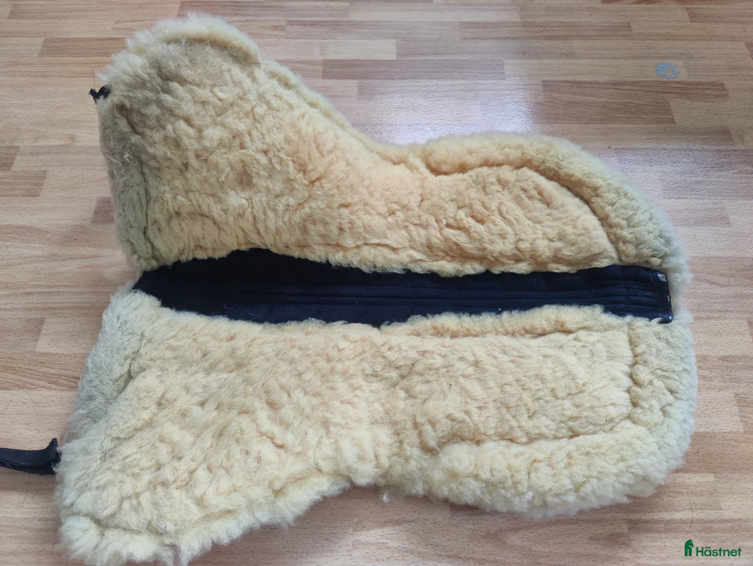 Träns hästutrustning till salu: Diverse utrustning  - Annons 8