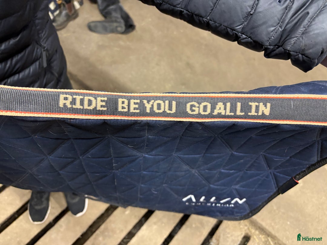 Schabrak & Vojlockar hästutrustning till salu: Fina schabrak till salu i Älvsbyn - Annons 2