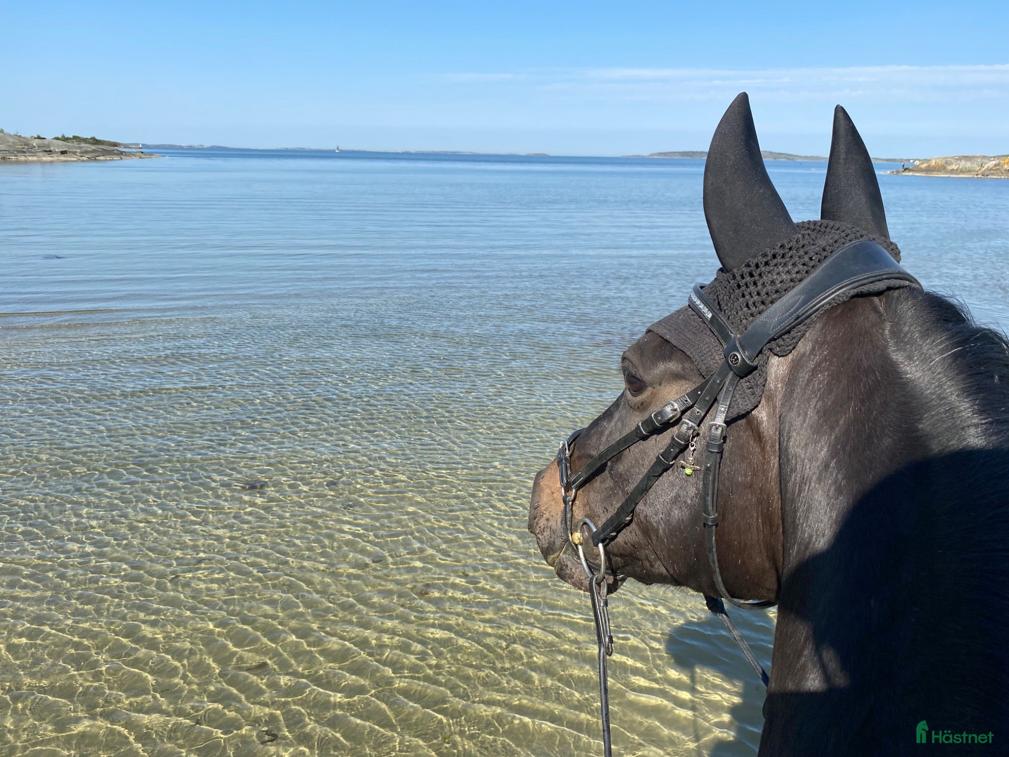  stallplats Lediga stallplatser i Björlanda, Göteborg - Annons 2