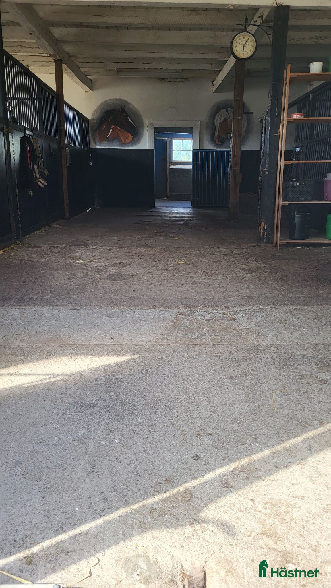  stallplats Ledig boxplats - Annons 2