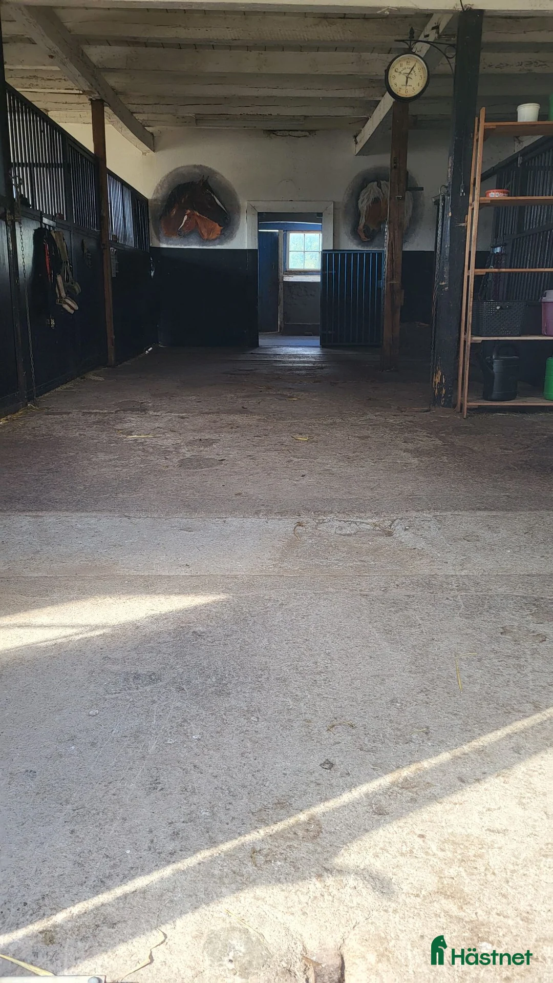  stallplats finnes: Ledig boxplats - Annons 1