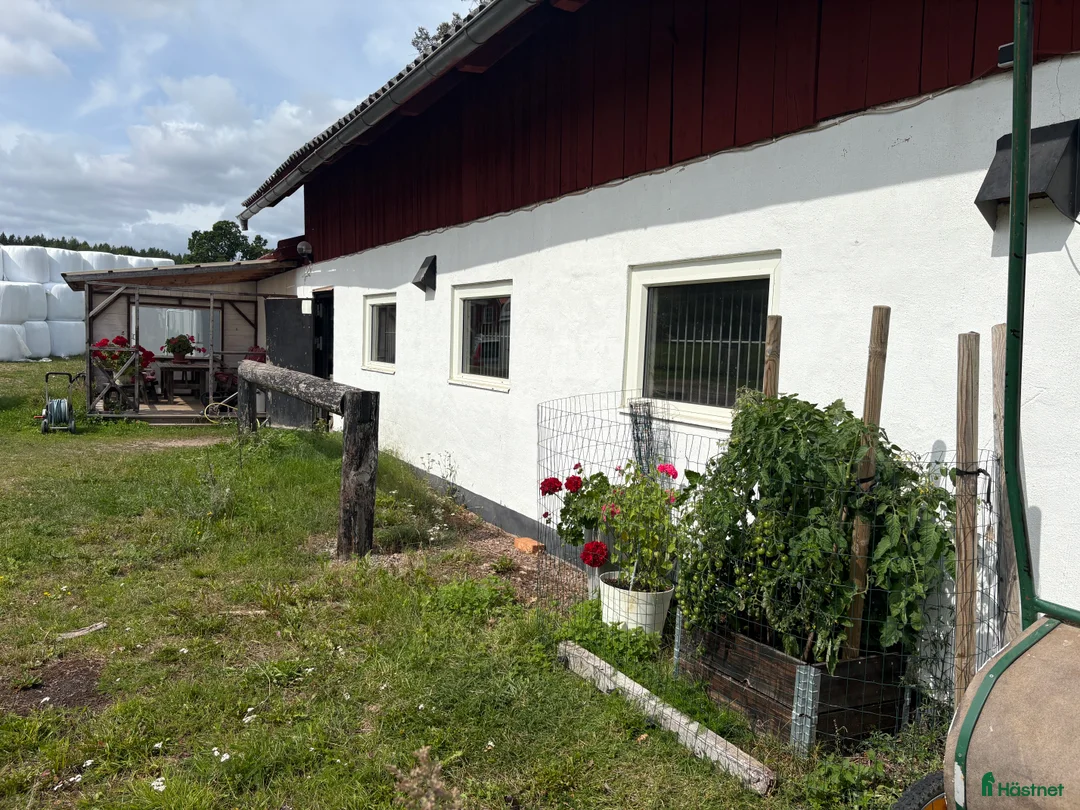  stallplats finnes: Stallplats i lösdriftsstall i Mjölby - Annons 2