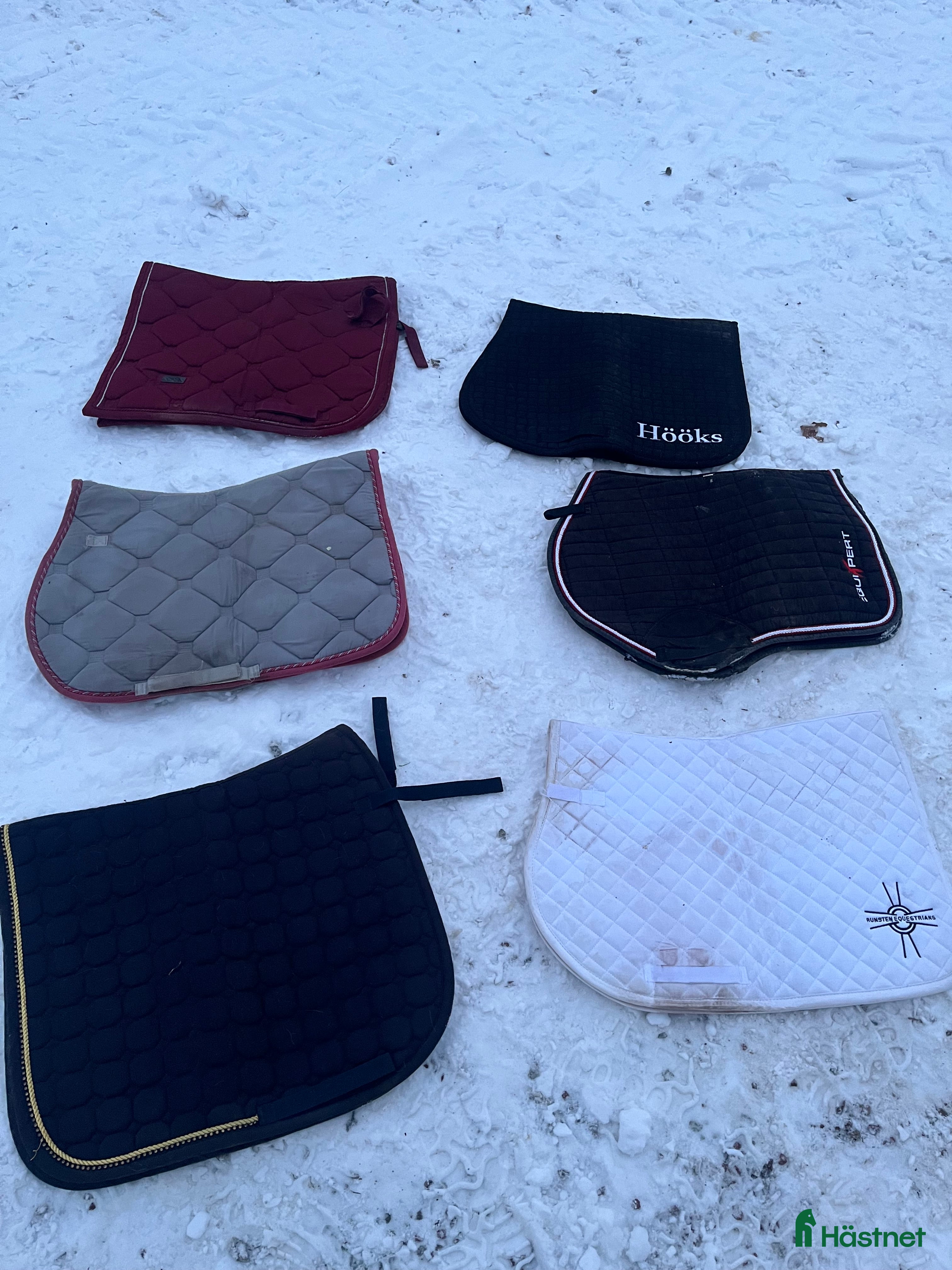 Schabrak & Vojlockar hästutrustning Schabrak i Södertälje - Annons 1