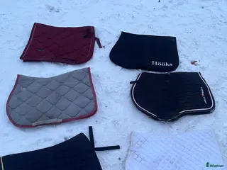 Schabrak & Vojlockar hästutrustning Schabrak i Södertälje - Annons 1