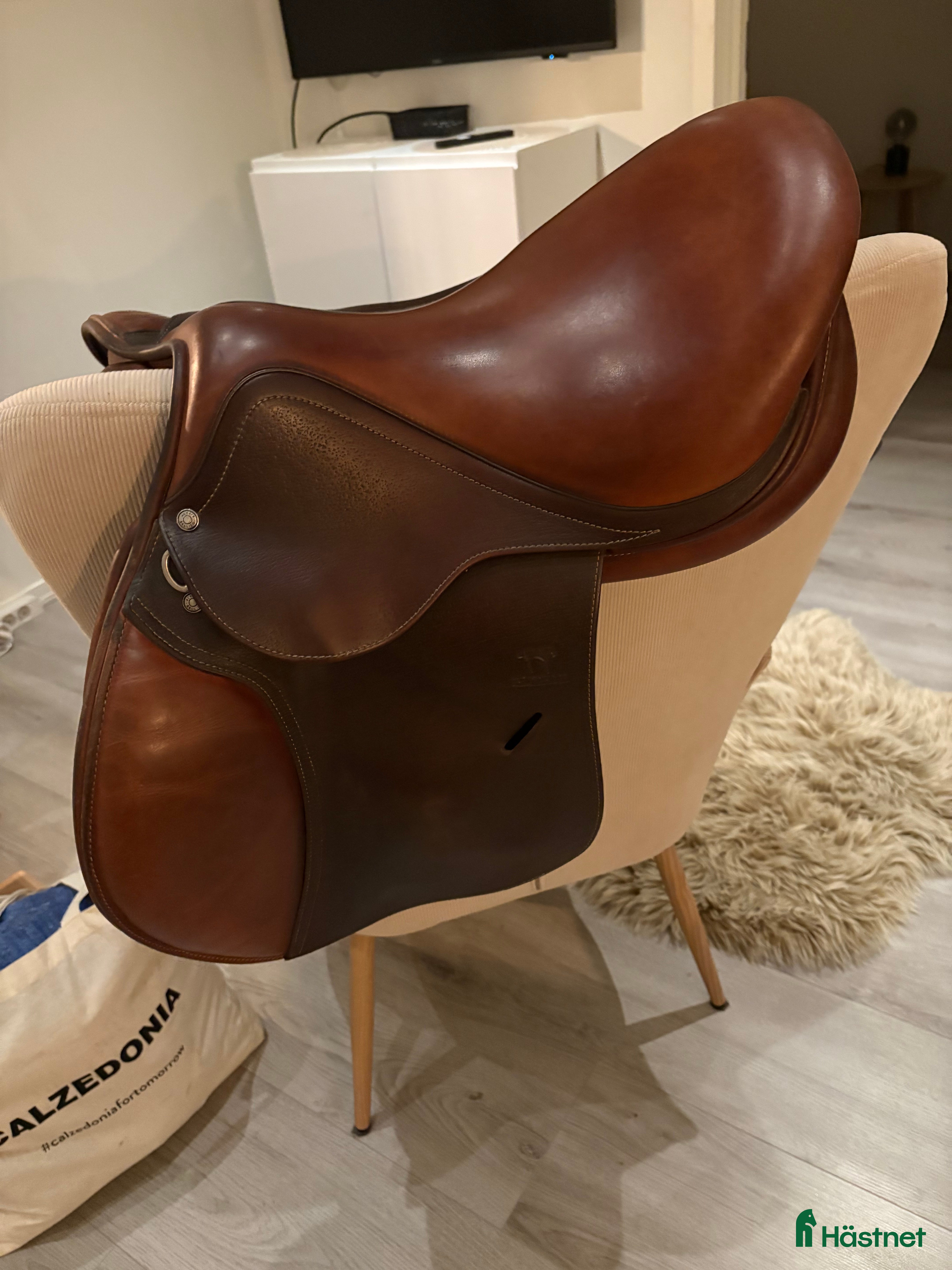 Sadlar hästutrustning till salu: Brun 17 antares altair  - Annons 1