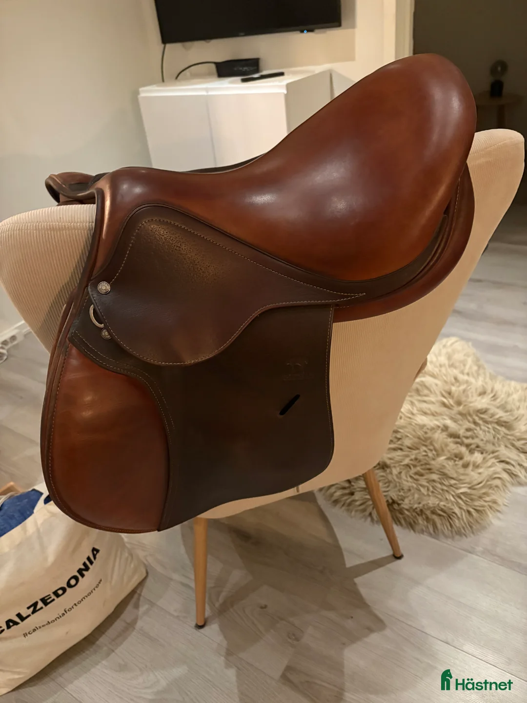 Sadlar hästutrustning till salu: Brun 17 antares altair  - Annons 1