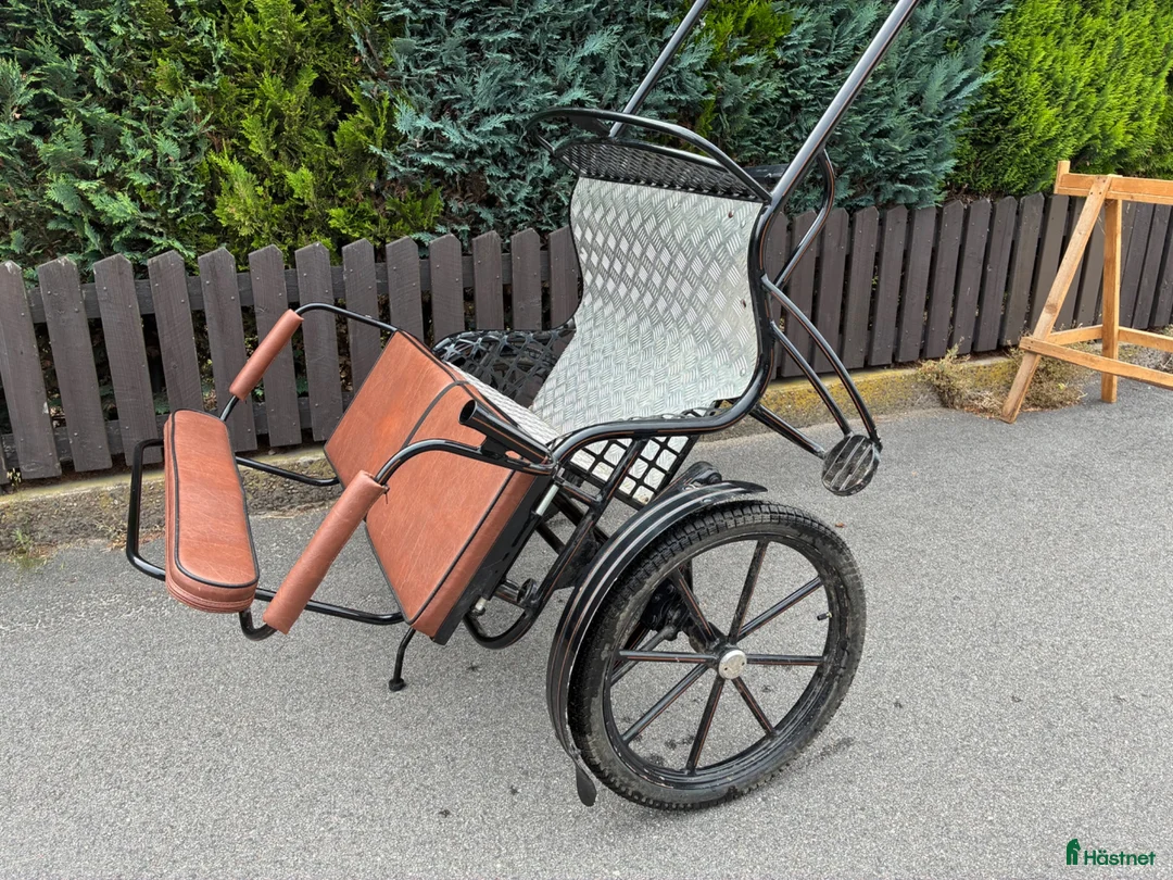 Körvagnar körning till salu: Gig för a-ponny  i Kalmar - Annons 2