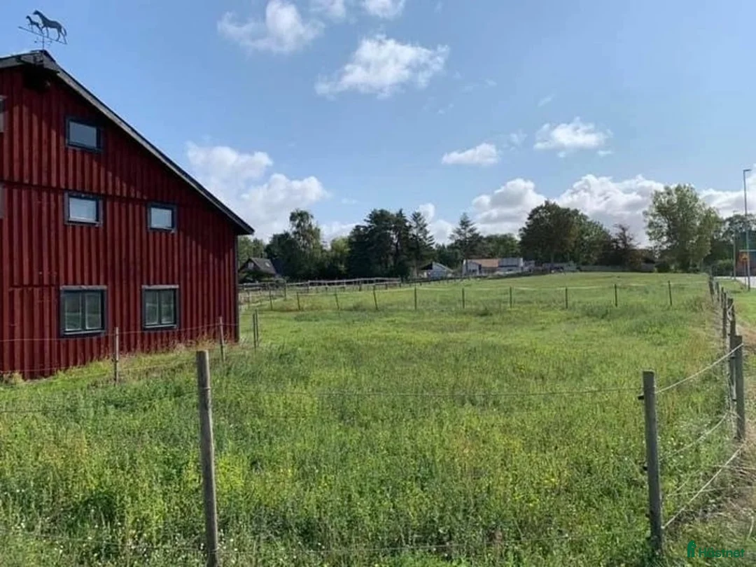  stallplats finnes: Stallplatser uthyres vid Löddeköpinge Sandskog - Annons 4