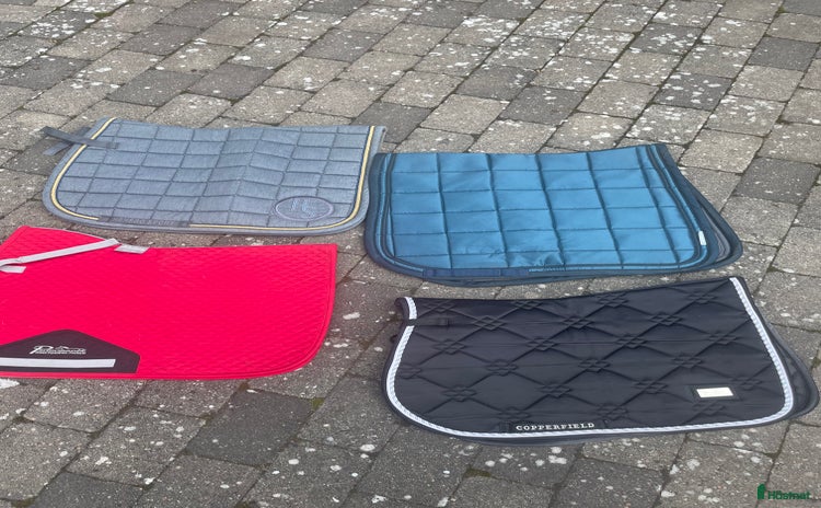 Schabrak & Vojlockar hästutrustning till salu i Markaryd - Annons 20