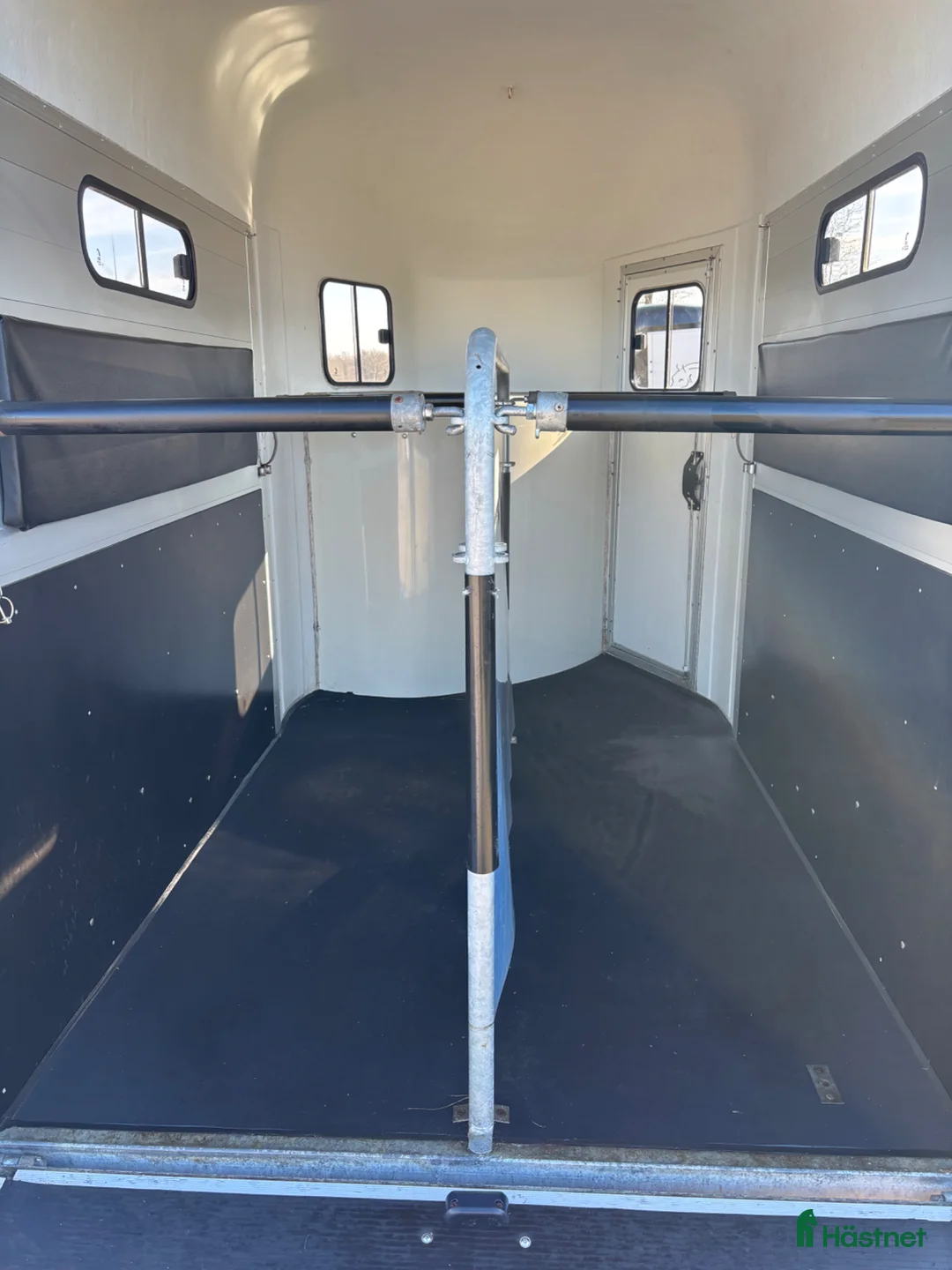 Hästtransporter  fordon & transport till salu: Cheval Gold Origins - Annons 6