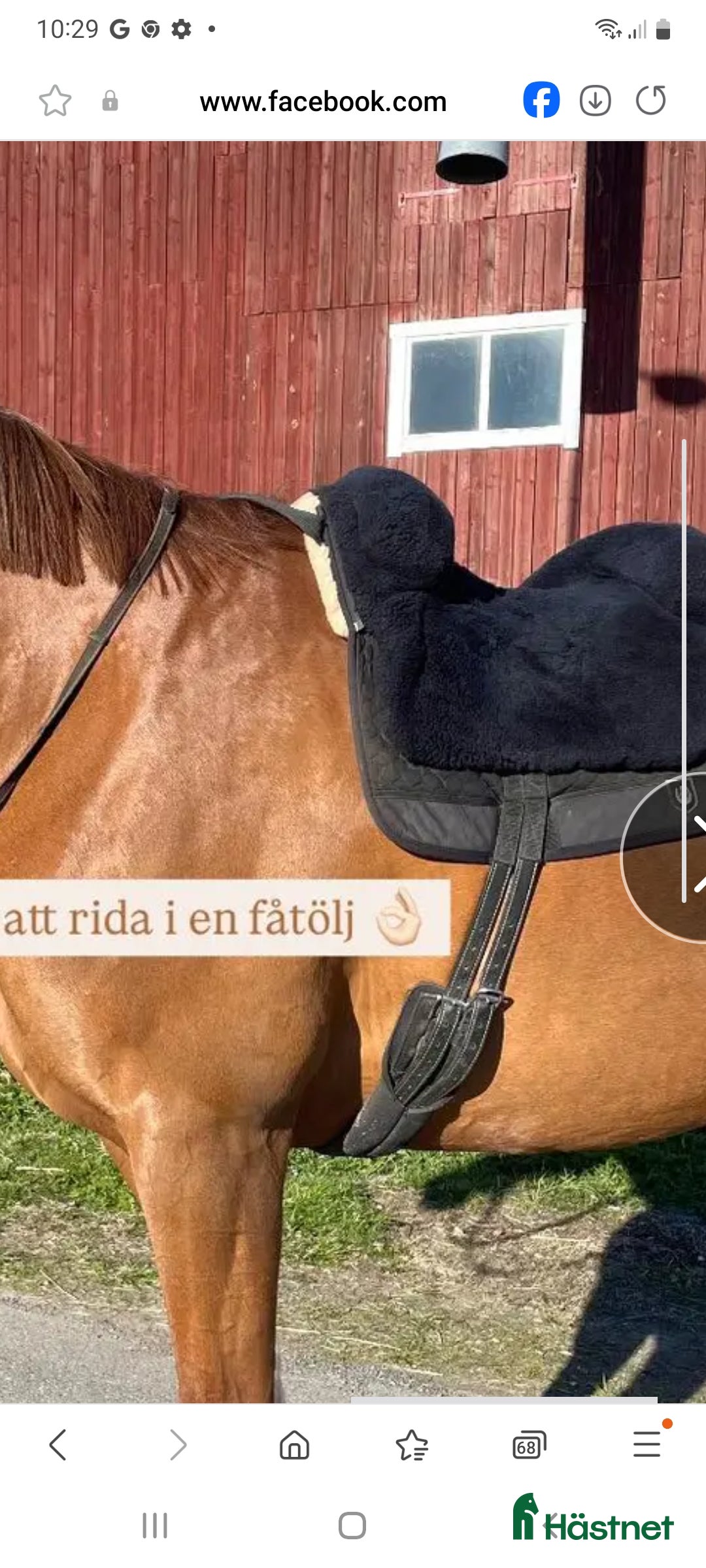 Sadlar hästutrustning till salu: Horsedream i Umeå - Annons 2