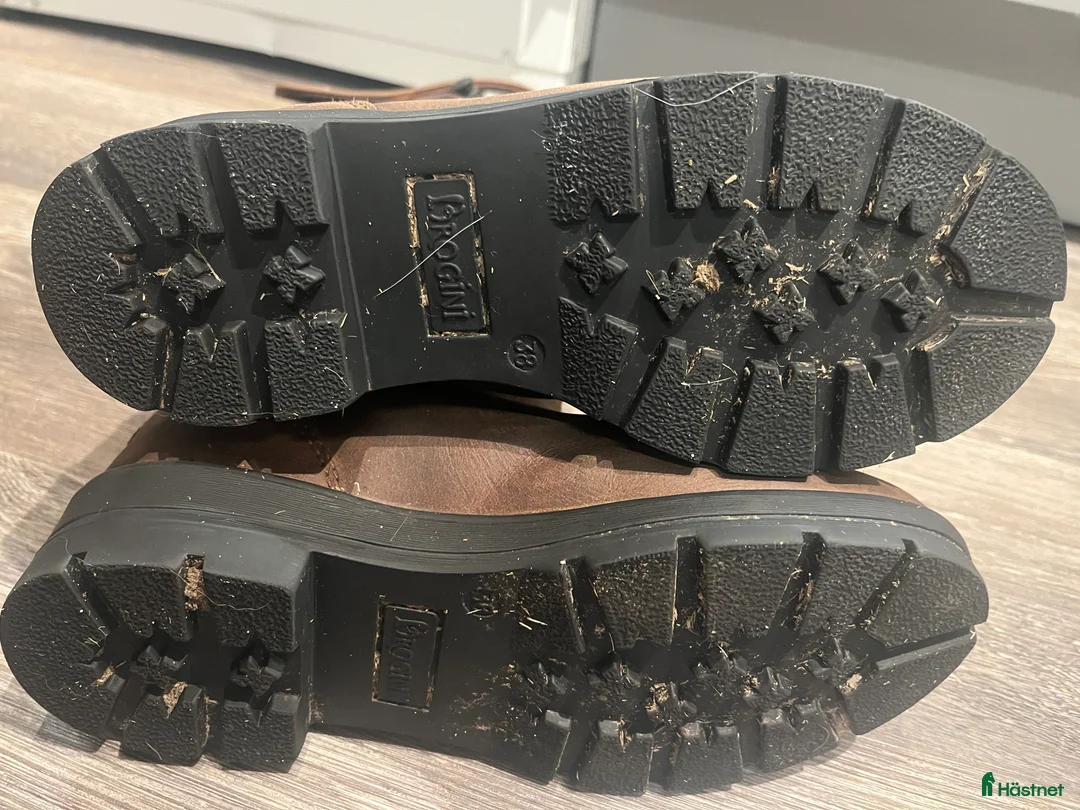 Ridstövlar ryttarutrustning till salu: Brogini ridstövlar  i Jönköping - Annons 6