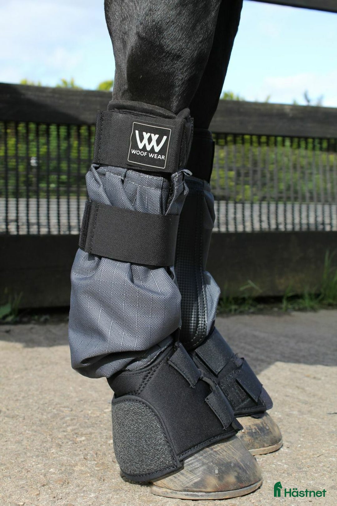 Benskydd hästutrustning till salu: Woof Wear Mud Fever Boots i Viken - Annons 2