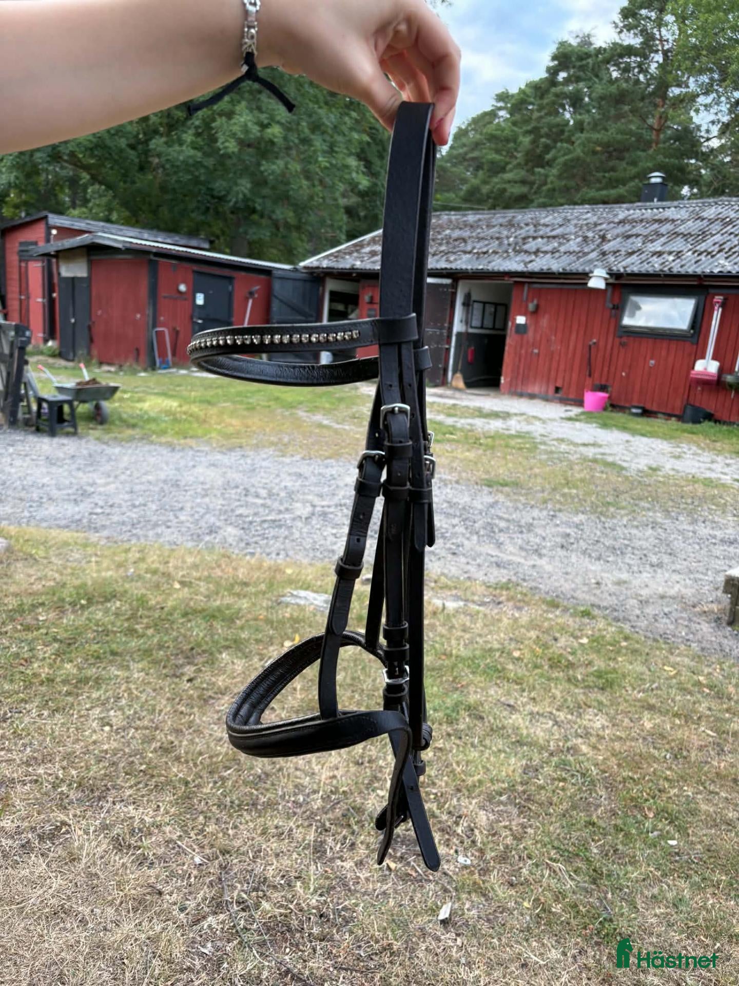 Träns hästutrustning till salu: Fairfield träns - Annons 1