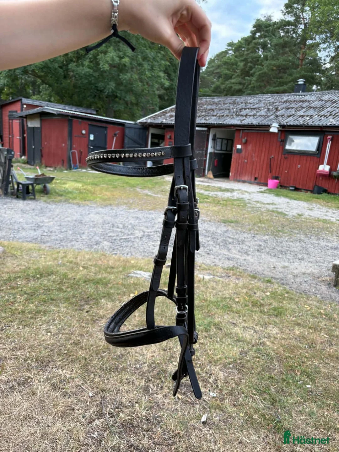 Träns hästutrustning till salu: Fairfield träns - Annons 1