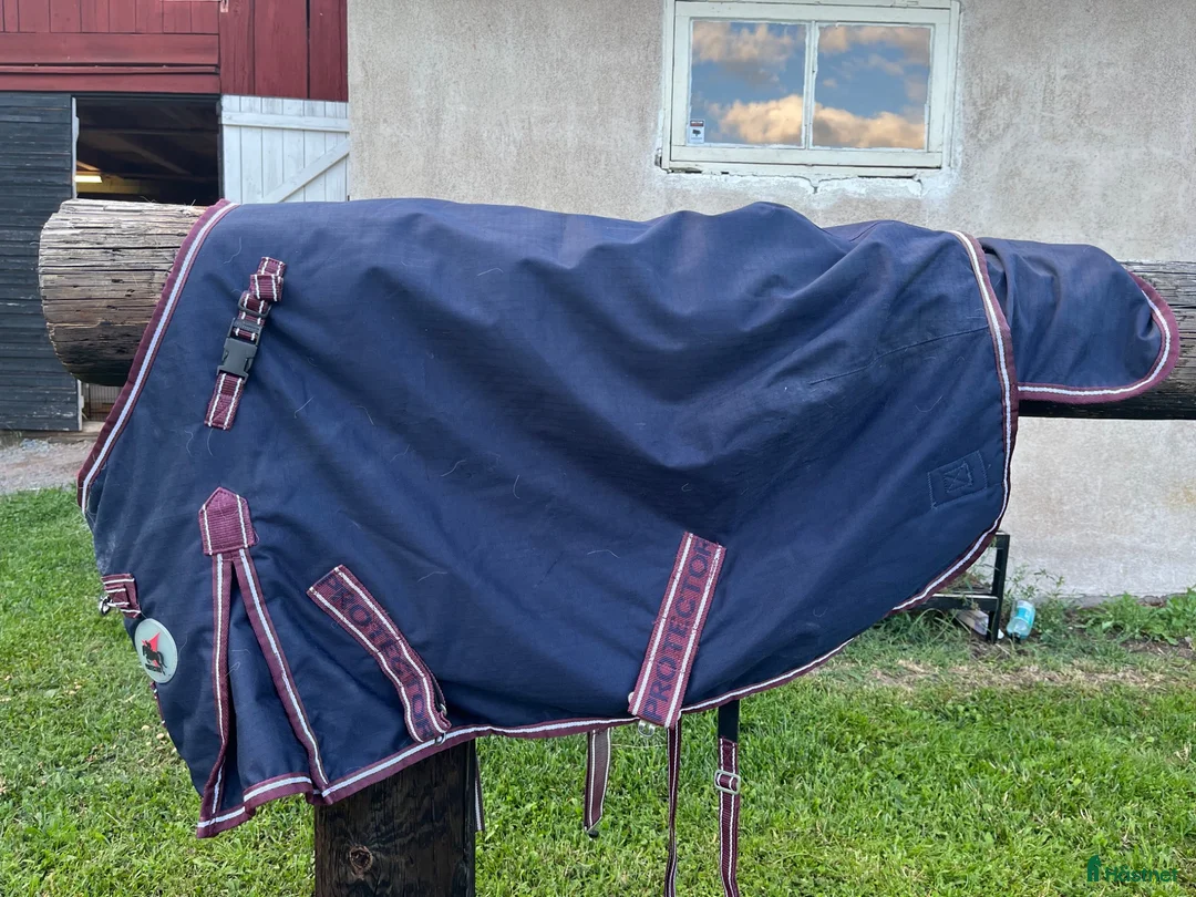 Täcken hästutrustning till salu: Utetäcken 85cm - Annons 12