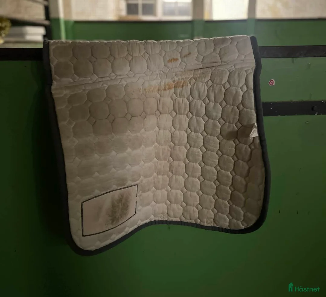 Schabrak & Vojlockar hästutrustning till salu: Equiline E-logga schabrak  - Annons 5