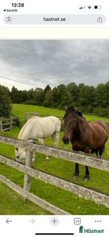 stallplats i Alingsås - Annons 15