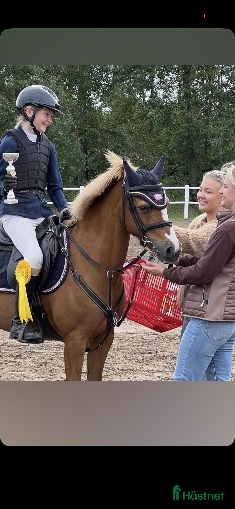  hästar Söker dotterns nästa tävlingskompis - Annons 2