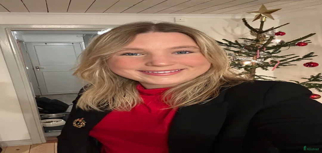 Galleribild {{count}}