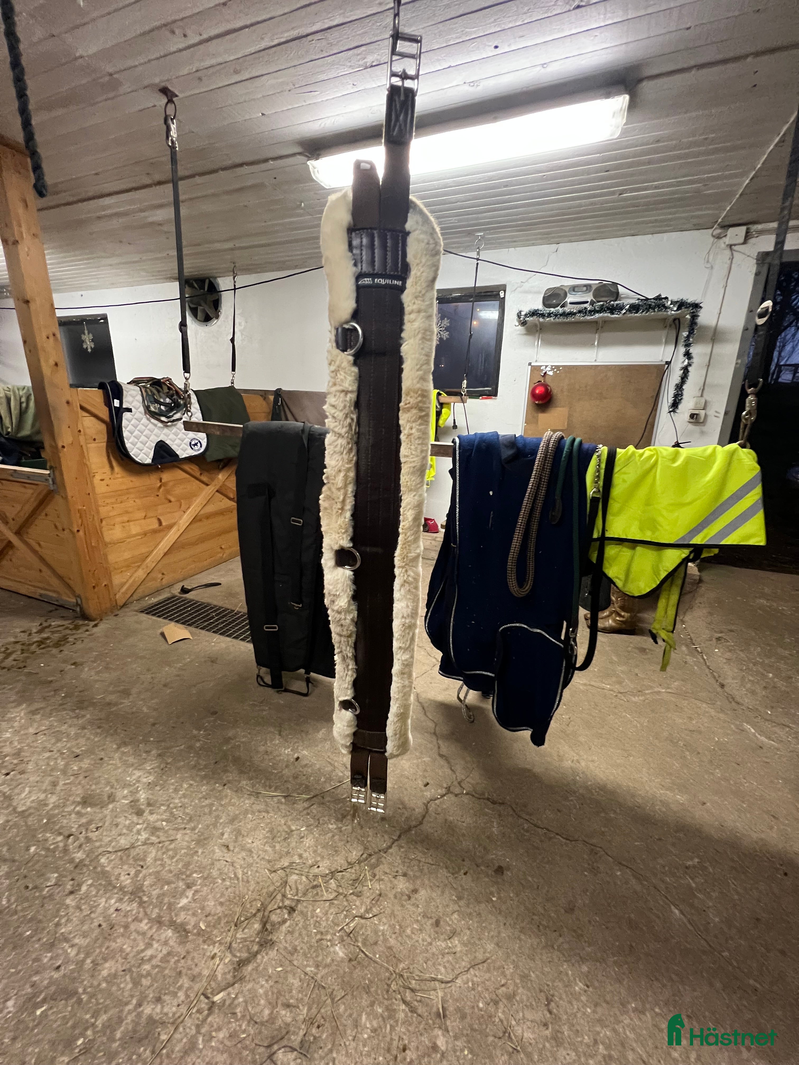 Sadeltillbehör hästutrustning till salu: Equiline Sadelgjord i Dalstorp - Annons 2