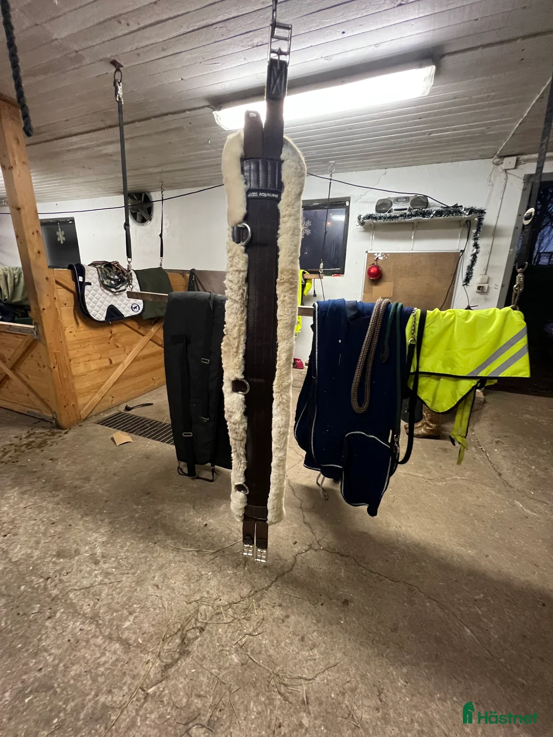 Sadeltillbehör hästutrustning till salu: Equiline Sadelgjord i Dalstorp - Annons 1