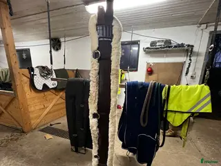 Sadeltillbehör hästutrustning Equiline Sadelgjord i Dalstorp - Annons 1