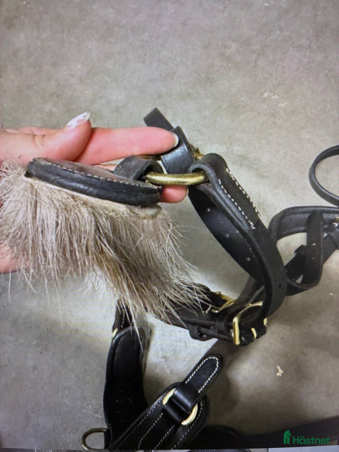 Övrig Hästutrustning hästutrustning till salu: Brösta med martingal i Segeltorp - Annons 4