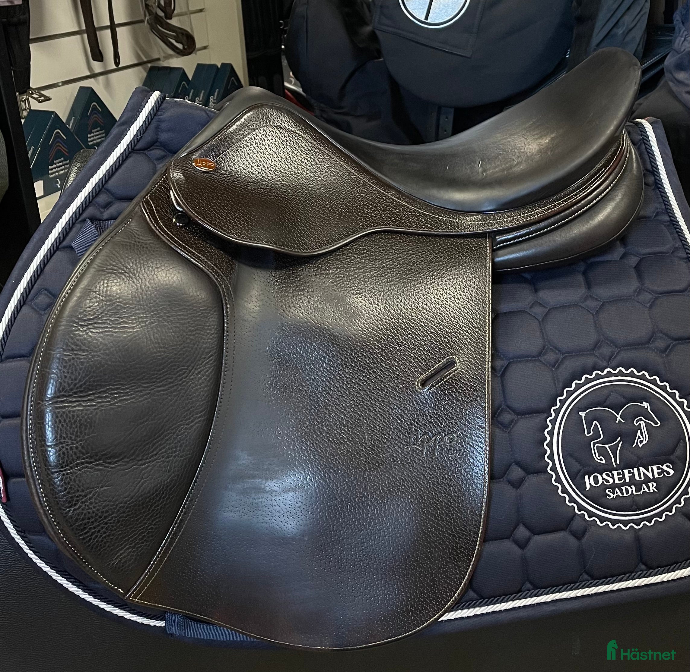 Sadlar hästutrustning Lippo Enzo - Annons 12