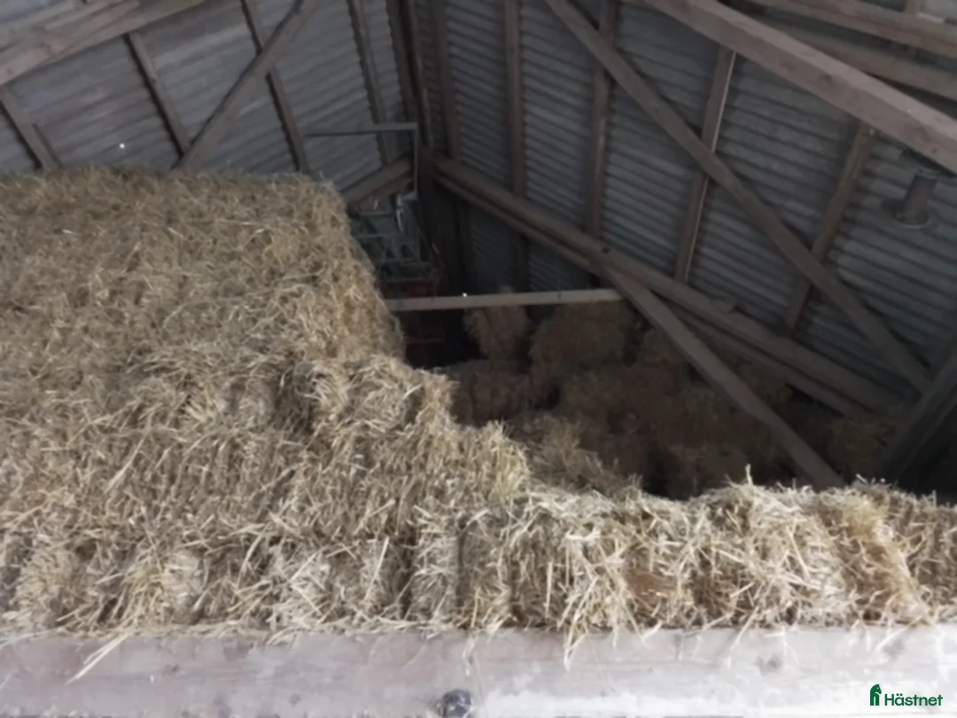 Övrig utrustning övrig utrustning till salu: Hösilage o halm i småbal - Annons 4