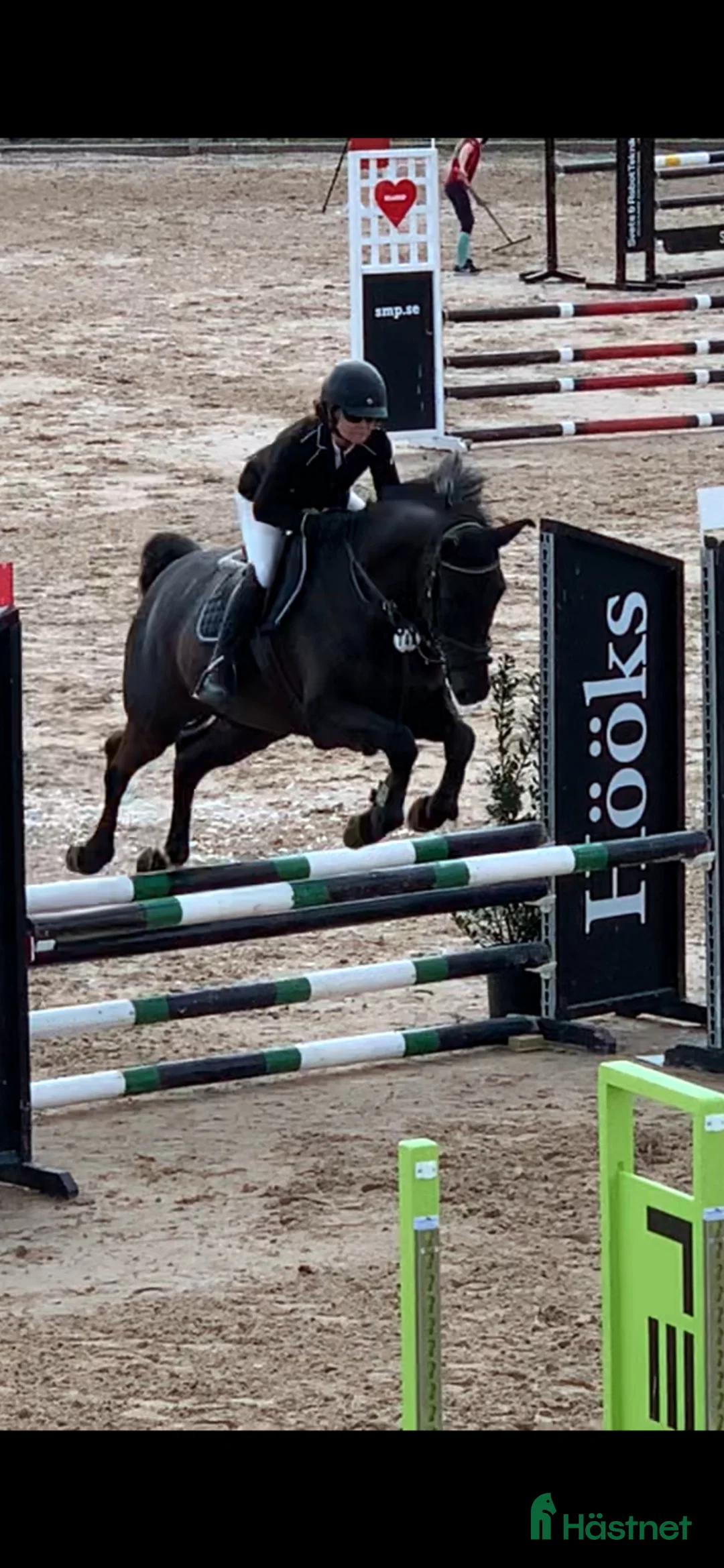 Allround hästar till salu: 115 hoppning / medelsvår dressyr  - Annons 1