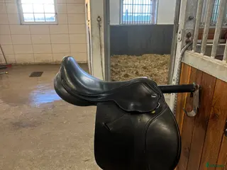 Sadlar hästutrustning Santa Cruz Celine i Trelleborg - Annons 6