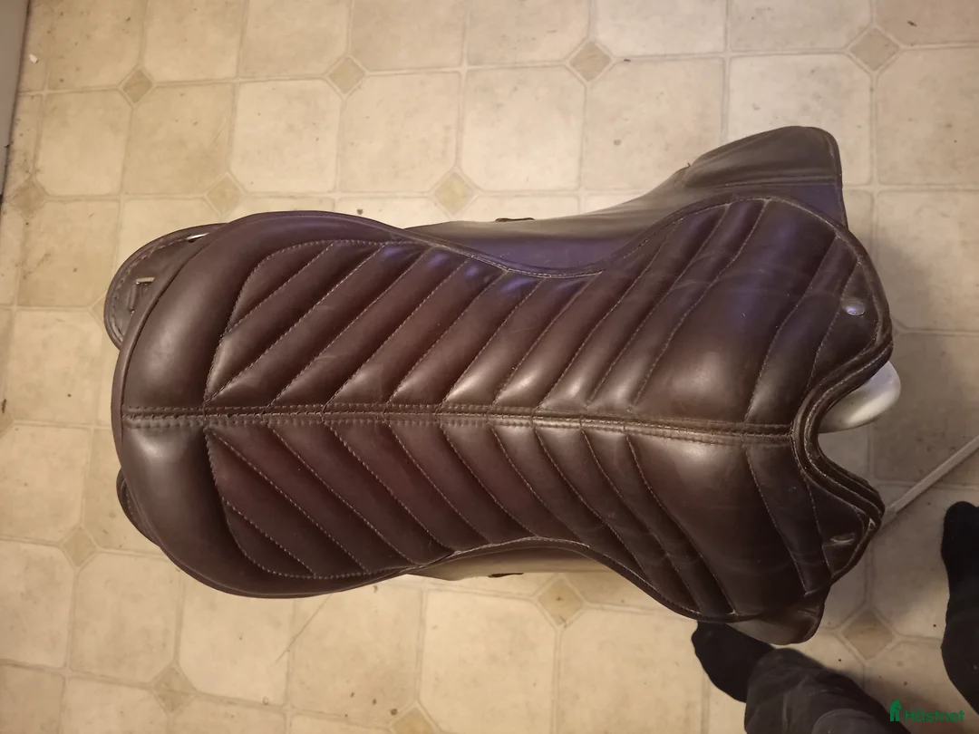 Sadlar hästutrustning till salu: Islandssadel i Bjuråker - Annons 2