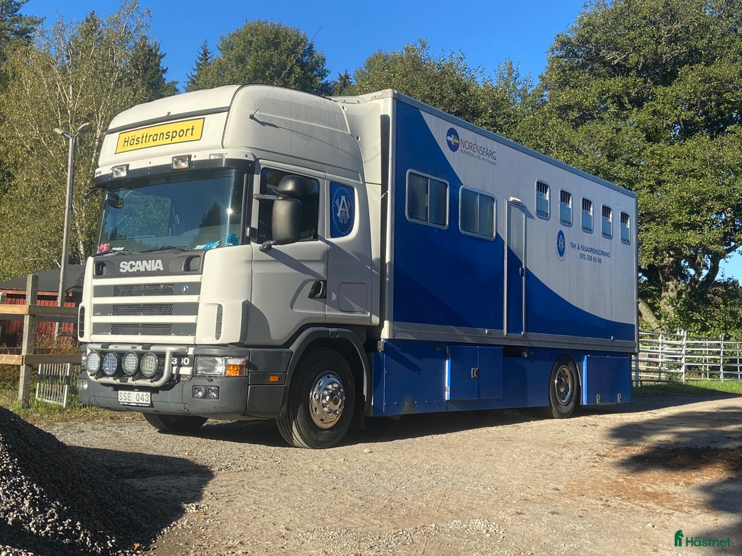 Hästlastbilar  fordon & transport till salu: Hästlastbil scania  i Södertälje - Bild 8