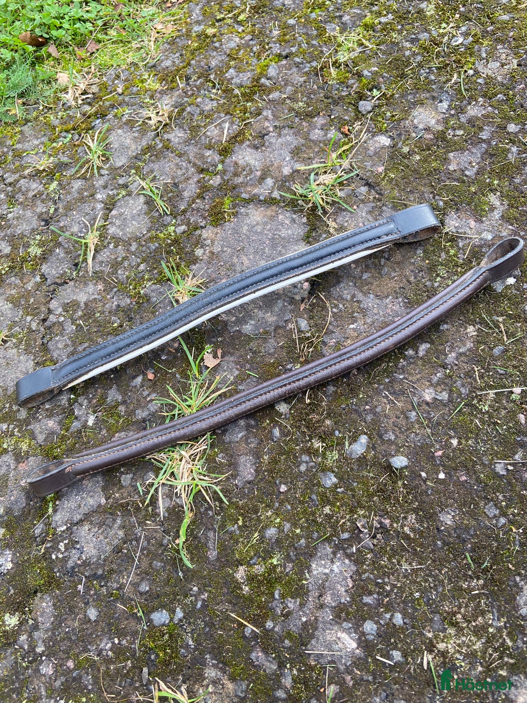 Övrig Hästutrustning hästutrustning till salu: Pannband till förbannelse i Skövde - Annons 3