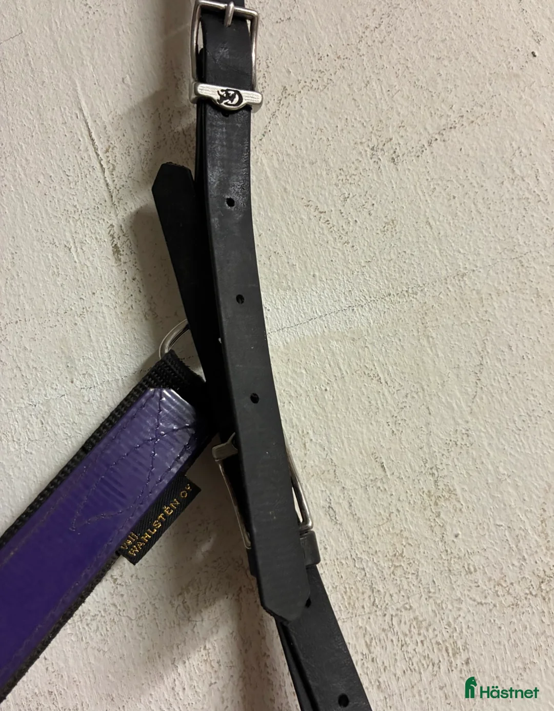 Övrig Travutrustning trav till salu: Wahlsten Brösta  - Annons 2