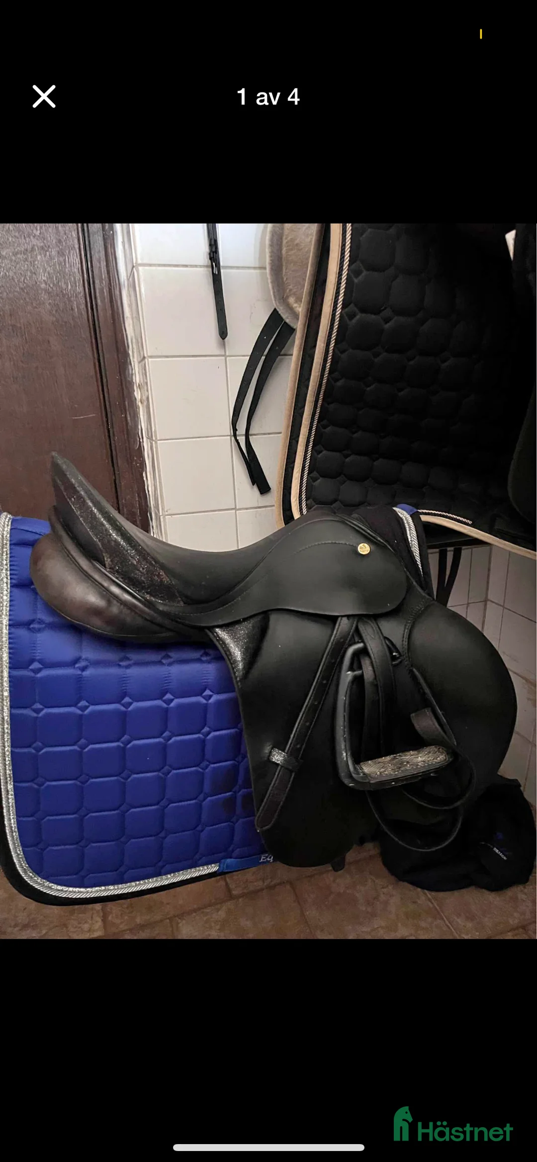 Sadlar hästutrustning till salu: Superskön allround/hopp i Hässleholm - Annons 1