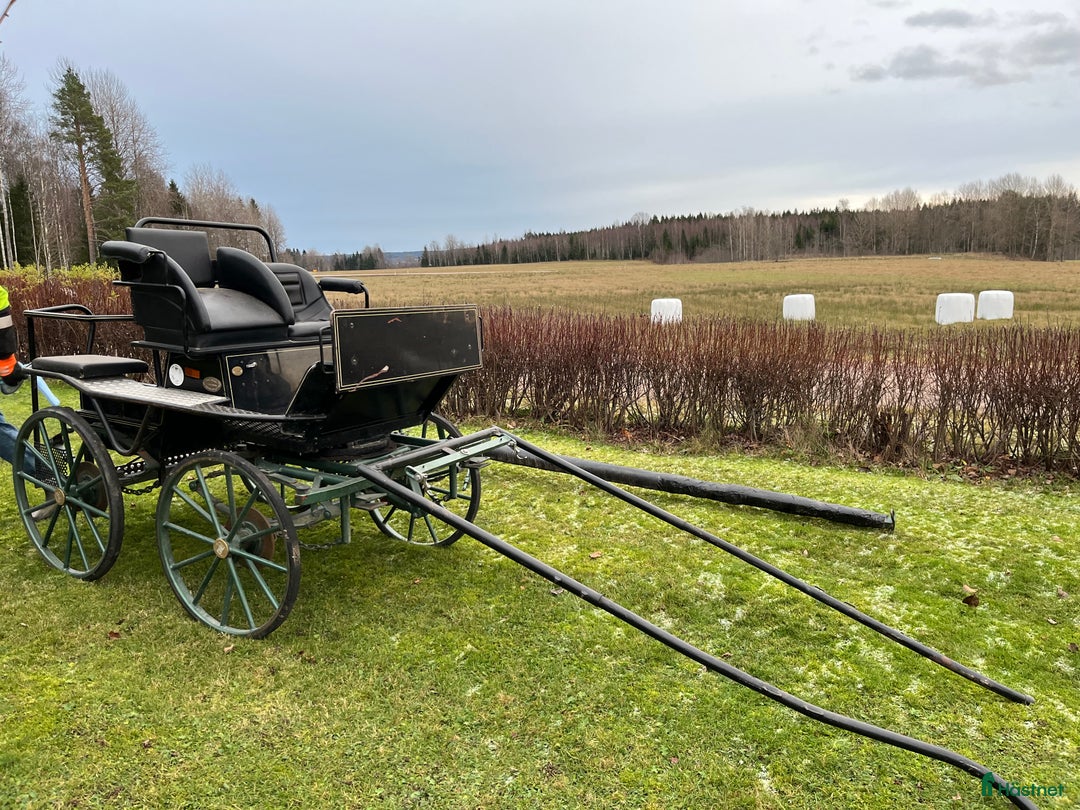 Körvagnar körning till salu: Maratonvagn storhäst i Västra Ämtervik - Annons 2
