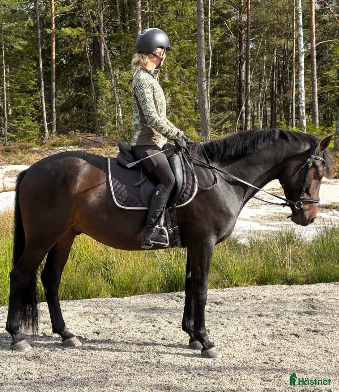  hästar Mor dotter häst - Annons 1