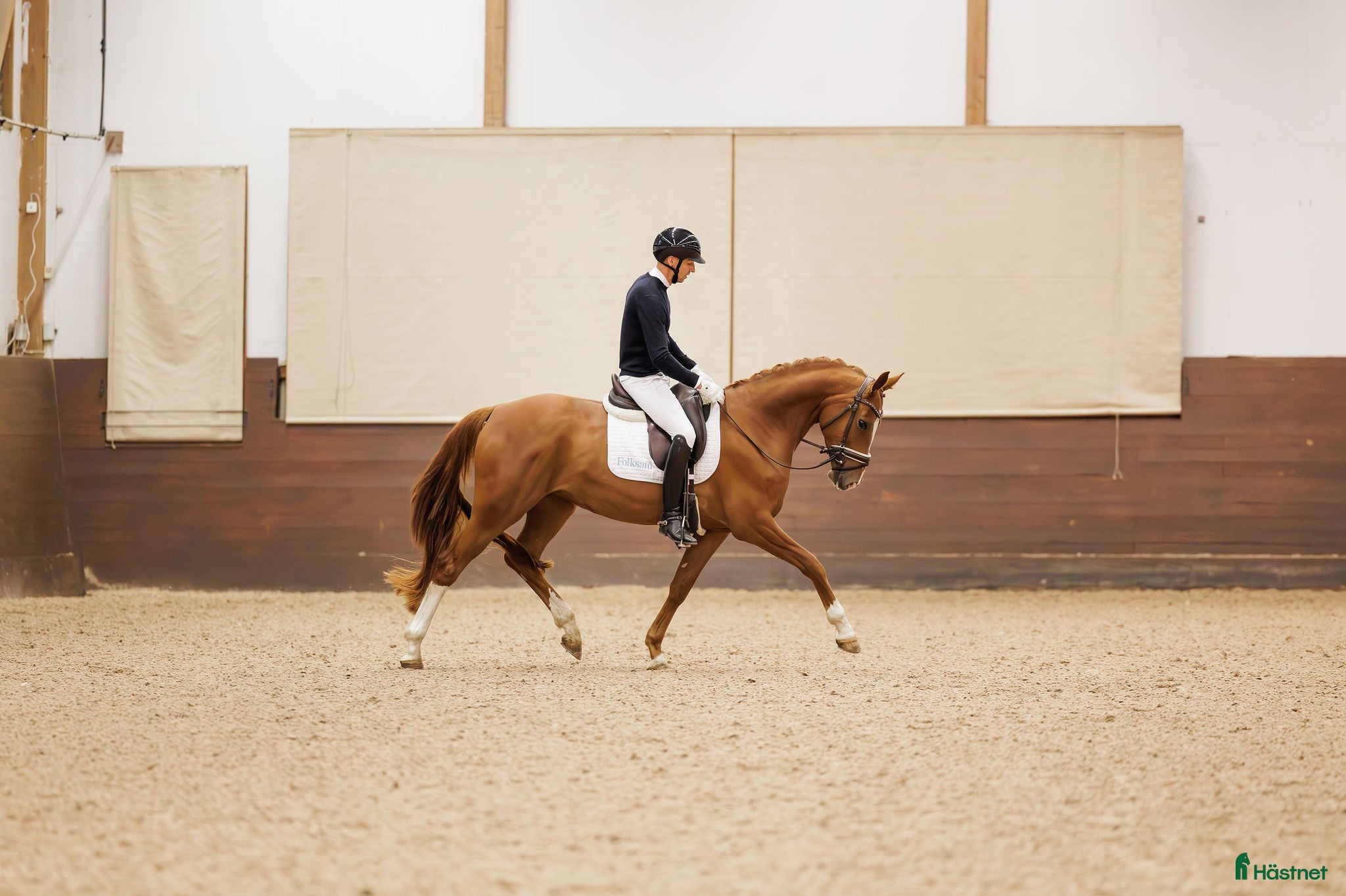  hästar Kvalitetssto e: Quaterhit HÖG Ridbarhet - Annons 4