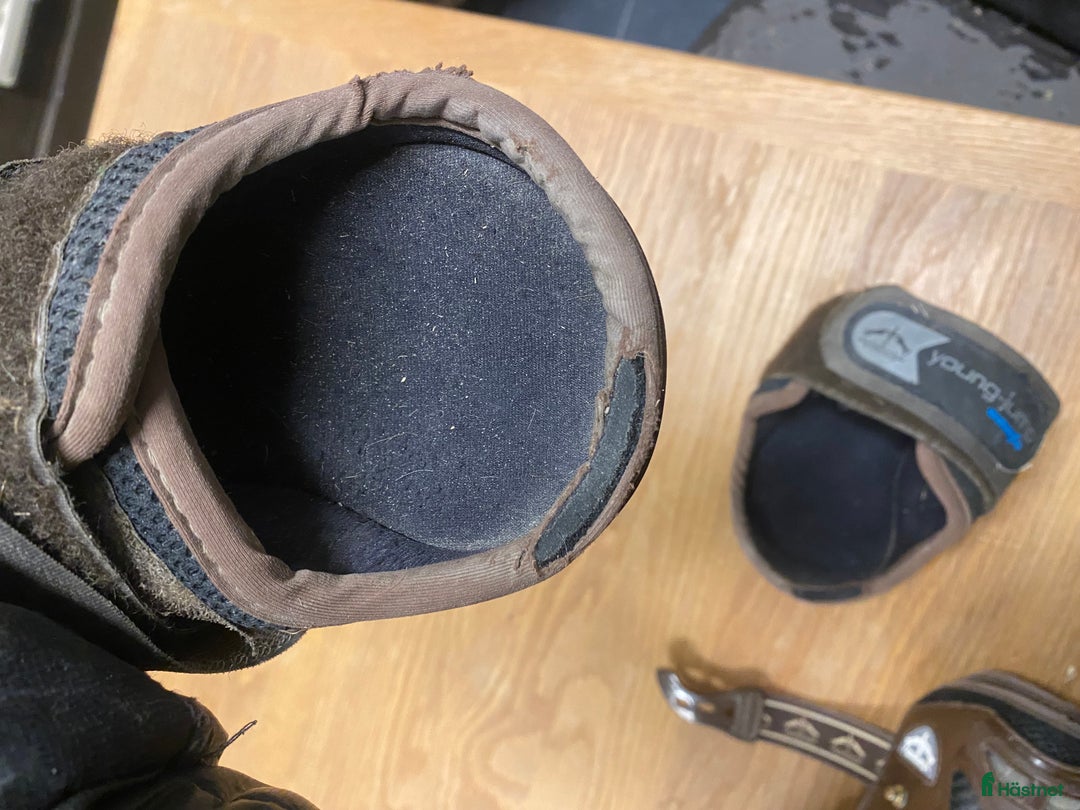 Benskydd hästutrustning till salu: Veredus bakskydd i Västerljung - Annons 3