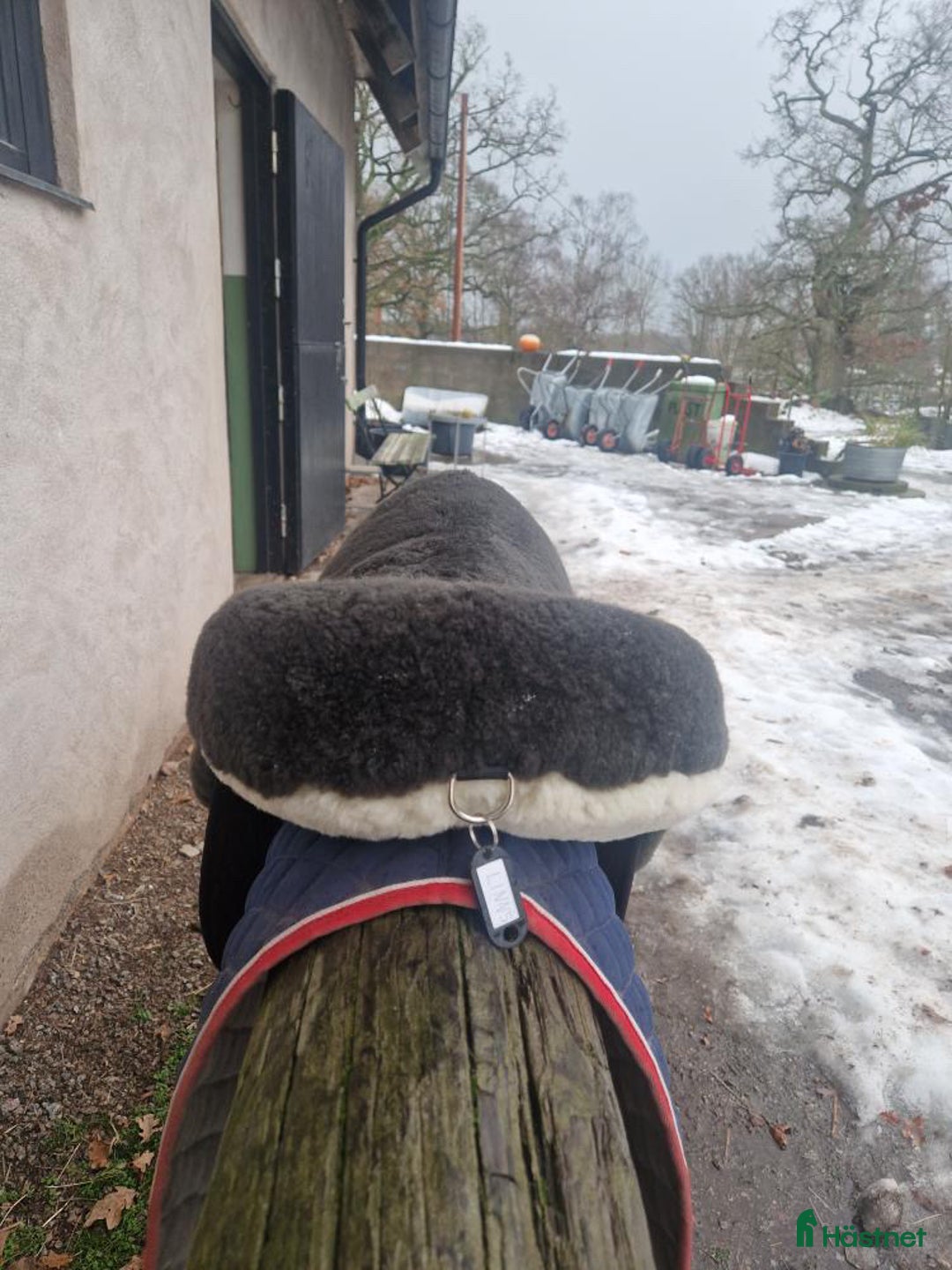 Sadlar hästutrustning till salu: Christ Basic Plus barbackasadel, fårskinn  i Kalmar - Annons 6