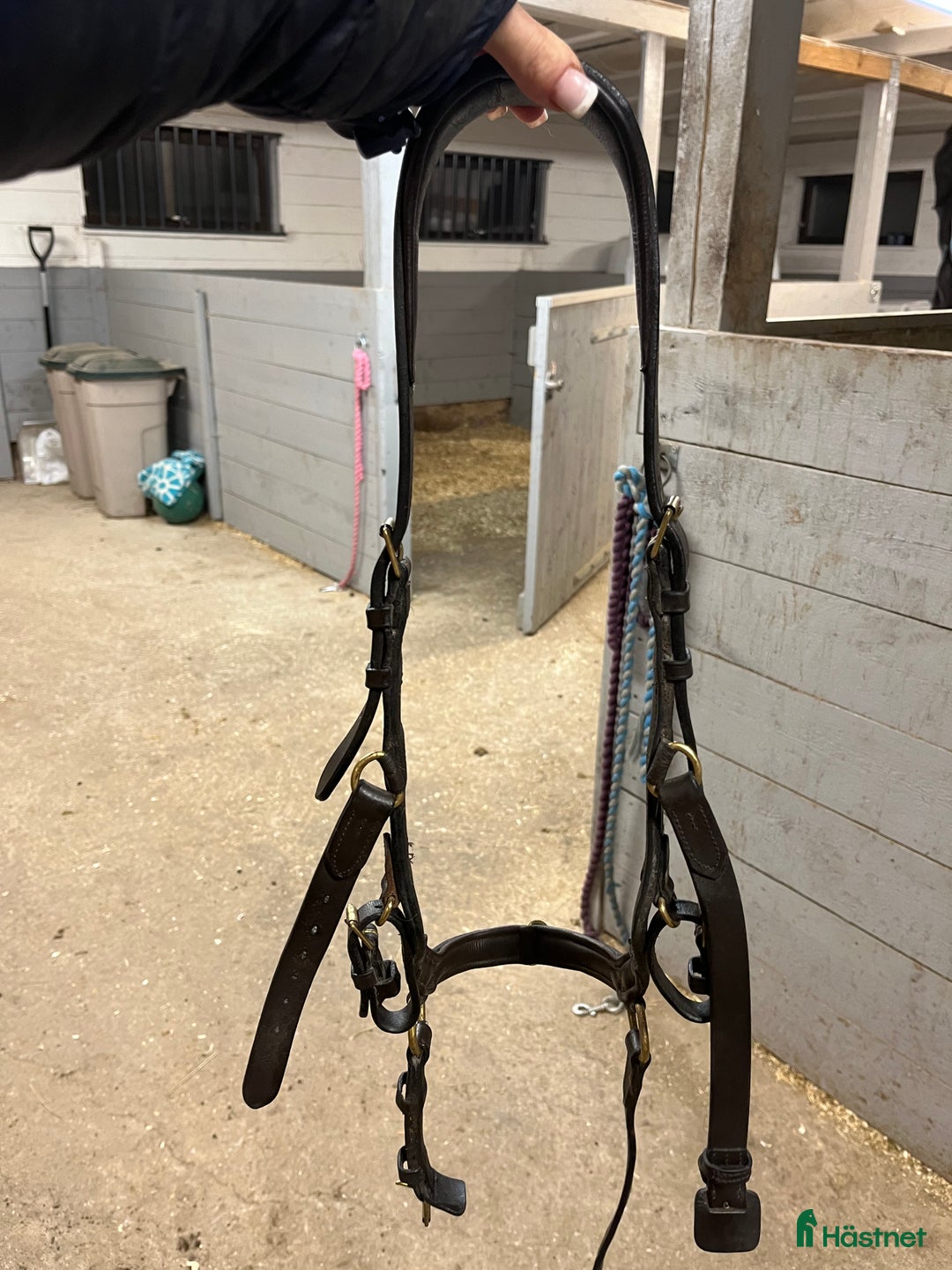 Träns hästutrustning till salu: Brunt miclemträns i Landsbro - Annons 3